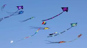 Pollution Control Board issues ban on several items including China Door for kite flying